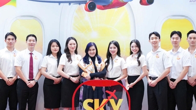 Inicia tu aventura global con el evento de reclutamiento de auxiliares de vuelo de Vietjet.