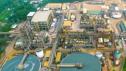 Tras 8 meses, los ingresos de Masan aumentaron drásticamente, alcanzando más de 77 billones de VND.
