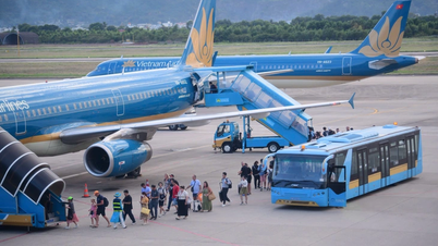 Para los viajeros frecuentes, ¿deberían elegir Vietnam Airlines o Bamboo Airways?