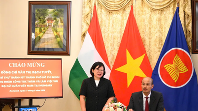 Ho Chi Minh-byen styrker samarbeidet med Frankrike og Ungarn innen kunstig intelligens, logistikk og bytransport.