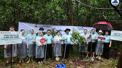 Le syndicat d'Agribank a fait don de 4 000 arbres Lim verts à la commune de Lanh Ngoc.