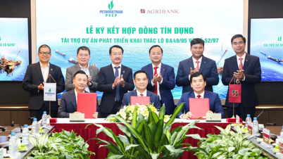 Agribank et PVEP signent un accord de crédit pour la mise en œuvre conjointe d'un projet pétrolier et gazier.