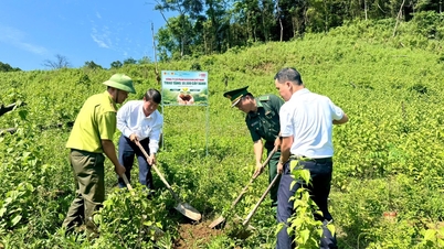 El viaje de Acecook Vietnam para difundir la "Sociedad Feliz": del medio ambiente a la comunidad.