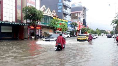 Nel Vietnam settentrionale il tempo sarà soleggiato, mentre nel Vietnam centrale si prevedono forti piogge. Nel Mar Cinese Meridionale le onde raggiungeranno i 4 metri di altezza.