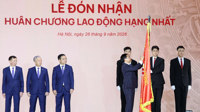 Image 42: 副总理概述了SCIC新组织模式的方向。