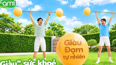 Hvad gør sojabønner til en så værdifuld kilde til sundt protein?