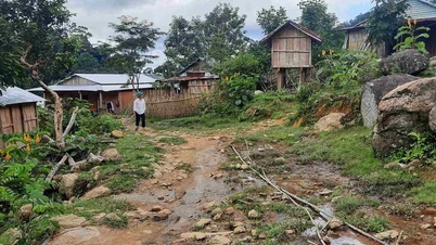 Der har netop været et jordskælv i Da Nang.