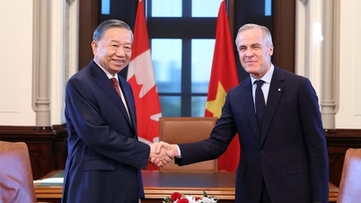 Abrir una "autopista" para la ciencia y la tecnología entre Vietnam y Canadá.