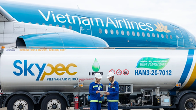 Algunas empresas han investigado activamente combustibles de aviación sostenibles.