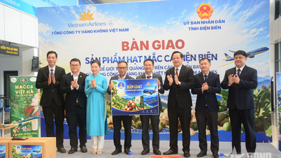 Dien Bien: Promoción de productos de macadamia en vuelos de Vietnam Airlines.