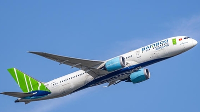 El Sr. Le Thai Sam regresa a la presidencia de Bamboo Airways a pesar de que la aerolínea adeuda más de 440 mil millones de VND en impuestos.
