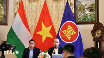 Den vietnamesiske ambassaden i Ungarn ønsker nye studenter velkommen for studieåret 2026–2027.