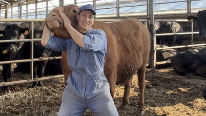 Chàng trai Việt cả ngày ‘bẻ cổ’, massage, chăm sóc bò Wagyu ở Nhật
