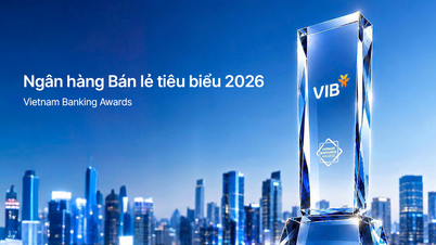 VIB - En ledende detaljhandelsbank, pioner innen trenden med personalisering.