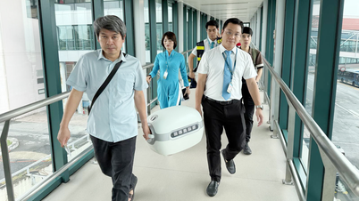 Vietnam Airlines cambia sus vuelos y lucha contrarreloj para transportar tejidos y órganos que salven vidas.