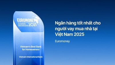 VIB mottar prisen «Fremragende detaljhandelsbank», for å omfavne personalisering.