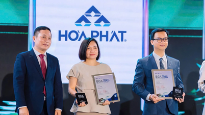 Hoa Phat er blant de 10 sterkeste merkene i Vietnam og blant de vietnamesiske merkene som nådde globale høyder i 2026.