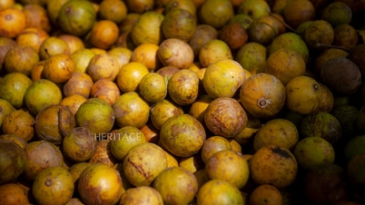 হ্যানয় শরৎকালীন উপহার