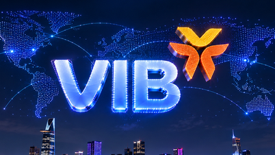 VIB henter inn 285 millioner dollar, med mål om 1 milliard dollar i internasjonal kapital.