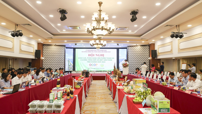 Đề xuất sản phẩm tiêu biểu tham gia Festival OCOP Việt Nam năm 2026