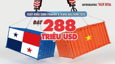 パナマはベトナム製品の購入に2億8800万ドルを費やしており、中でも履物が大きな割合を占めている。