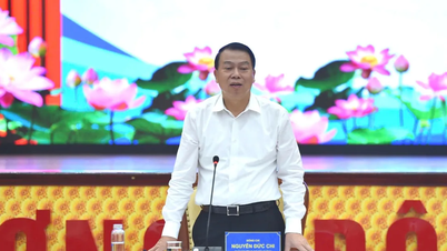 Khoảng 4.000 trường hợp người dân bị mạo danh thông tin cá nhân để lập doanh nghiệp