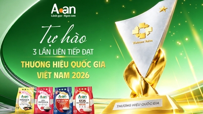 A An Clean rice har blitt tildelt tittelen Vietnam National Brand for tredje gang på rad.