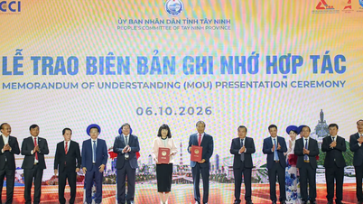 شرکت VCCI با Tay Ninh در زمینه بهبود محیط سرمایه‌گذاری و توسعه کسب‌وکار، توافقنامه همکاری امضا کرد.