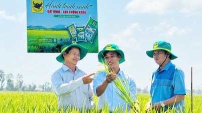 Baja Dau Trau – Jenama kebangsaan yang dibina atas kepercayaan dalam bidang pertanian.