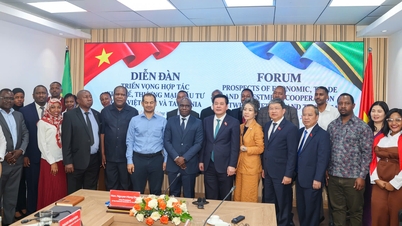 Fremme et substansielt og effektivt økonomisk, handels- og investeringssamarbeid mellom Vietnam og Tanzania.