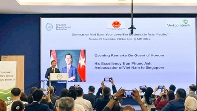 Vietcombank - Kết nối các nhà đầu tư Singapore với cơ hội mở rộng đầu tư tại Việt Nam
