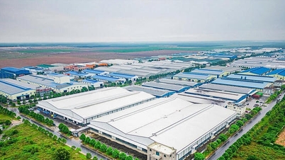 Ho Chi Minh-byen leier over 701 hektar land for å bygge en spesialisert industripark for mekanisk ingeniørkunst.