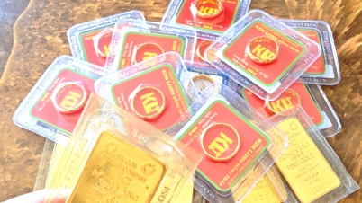 Prezzi dell'oro aggiornati al 7 ottobre 2026: listino prezzi per lingotti e anelli d'oro di SJC, BTMC, PNJ e Phu Quy.