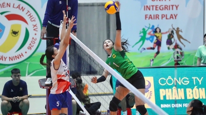 Programma van het Nationaal Kampioenschap Volleybal voor Dames 2026: 'De strijd der langbenige schoonheden'