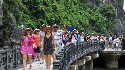 Vietnam'ın turizm sektörünü geliştirmek için kurumsal atılımlar.