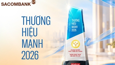 Sacombankが「2026年最強ブランド」に選出：内部の強さを構築し、持続可能な価値を創造する。