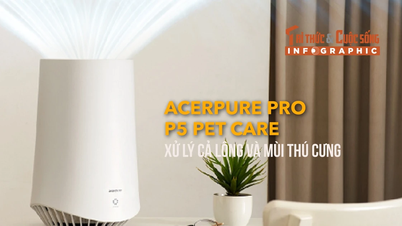 Acerpure PRO P5 Pet Careは、ペットの毛と臭いの両方をケアします。