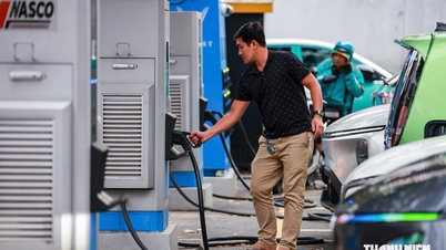 Standardizarea infrastructurii stațiilor de încărcare a vehiculelor electrice.