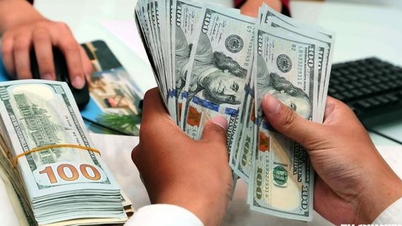Cursul de schimb USD astăzi, 7 octombrie 2026: Inversează tendința descendentă, în timp ce euro și lira sterlină cresc.