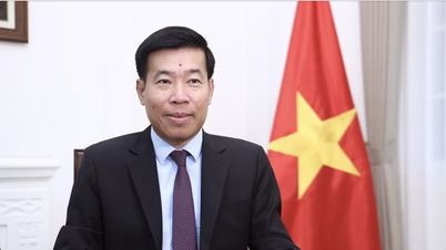 Dare ulteriore impulso alla cooperazione tra Vietnam, Laos e Cambogia, affinché diventi sempre più sostanziale ed efficace.