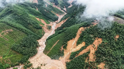 Puncak Bach Ma menerima curah hujan lebih dari 500 mm, Hue terus mengalami hujan yang sangat lebat.