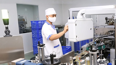 Ninh Binh: Godkendelse givet til et GMP-certificeret farmaceutisk fabriksprojekt til en værdi af næsten 1,2 billioner VND.