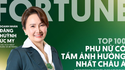เป็นปีที่สองติดต่อกันแล้วที่ ดัง หวินห์ อู๋ หมี่ ได้รับการจัดอันดับให้เป็นหนึ่งใน 100 สตรีผู้ทรงอิทธิพลที่สุดในเอเชียโดยนิตยสารฟอร์จูน