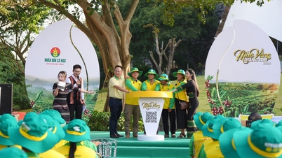 "เทศกาลทองคำ" กลับมาอีกครั้งในเขตที่ราบสูงตอนกลาง สานต่อบรรยากาศแห่งความสุขของ "ฤดูเก็บเกี่ยวทองคำครั้งยิ่งใหญ่ ปี 2026"