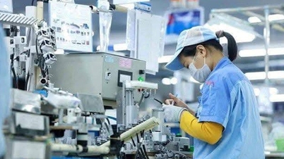 Banca Mondială evaluează accelerarea dezvoltării Vietnamului datorită inteligenței artificiale: Întreprinderile autohtone încă se luptă să profite de valul tehnologiei.