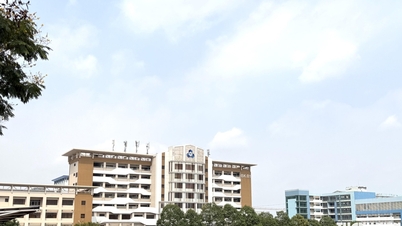 Universitatea de Tehnologie din Ho Chi Minh City recrutează 80 de lectori, cu salarii de până la 85 de milioane de VND pe lună.