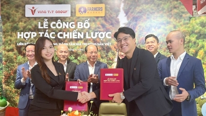 Servim vietnamezii cu fructe și produse procesate de calitate superioară pentru export.