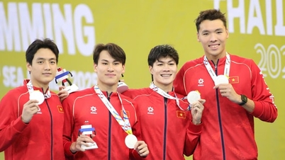 Natación vietnamita: Expectativas de que una nueva generación alcance alturas continentales