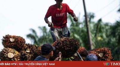 米国とインドネシアの協定ではパーム油が優先される。