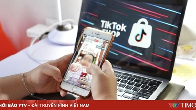 ベトナムの電子商取引のパラドックス：市場が大きくなるほど、競争の場は狭くなる。